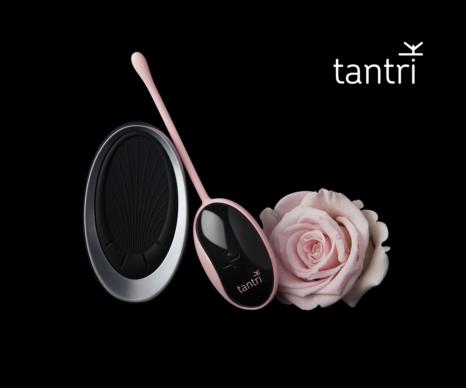 Logo-Design von RoundYellow für Namastra International Ltd. | Design #12521522