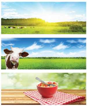 Banner Ad Design by JCR for this project | Design: #2424560