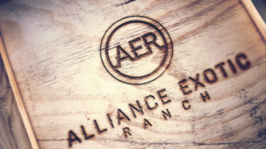 Design de Logo par nitexblue pour ce projet | Design : #12514670