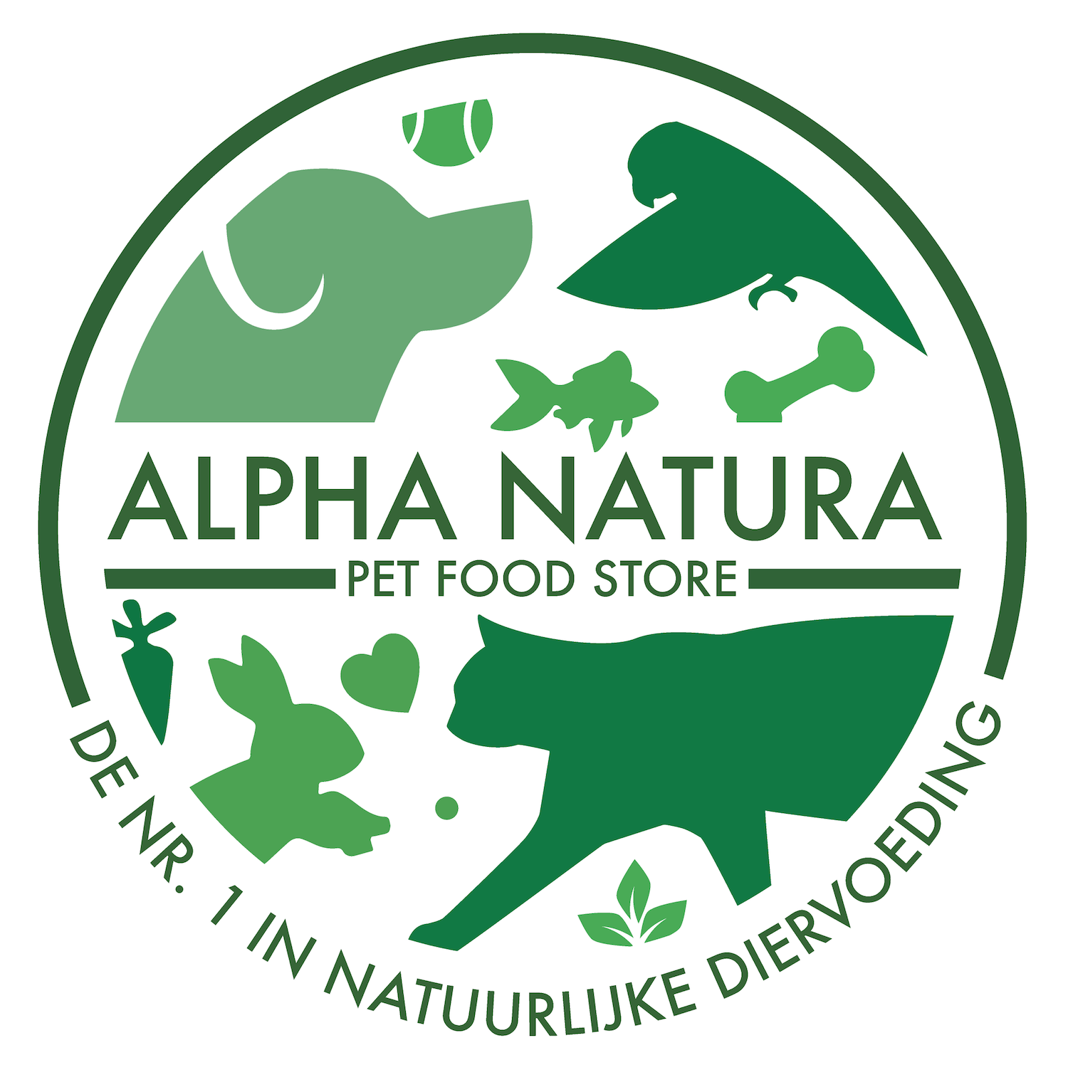 Logo Design by FulvioLazzariDesign for Alpha Meppel | Design #12528863
