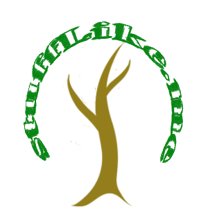 Logo Design by chantellr for this project | Design #513170