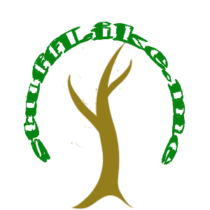 Logo Design by chantellr for this project | Design: #513170