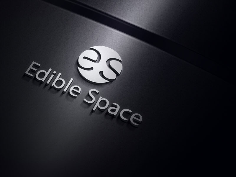 Logo Design by designlogo007 for this project | Design #12530427