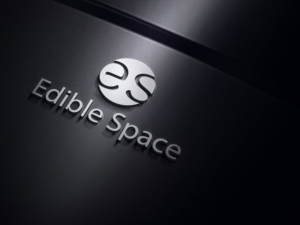 Logo Design by designlogo007 for this project | Design: #12530427