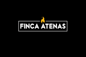 Logo Design by ivo_i_ivanov for this project | Design: #16767776