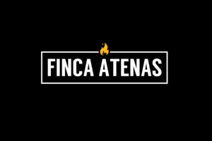 Logo Design by ivo_i_ivanov for this project | Design: #16767777