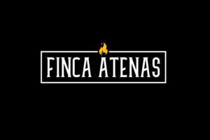 Logo Design by ivo_i_ivanov for this project | Design: #16767778