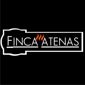 Logo Design by MASMARIKA