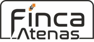 Logo Design by dg web