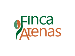 Logo Design by LOno