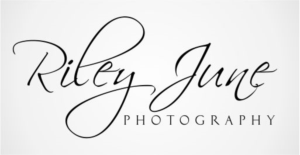 Logo Design by niwrek30484