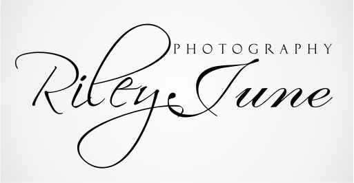 Logo Design by niwrek30484 for this project | Design #12673519