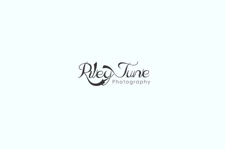 Diseño de Logo por petowesd para este proyecto | Diseño #12629238