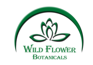 Logo Design by LT-Designz