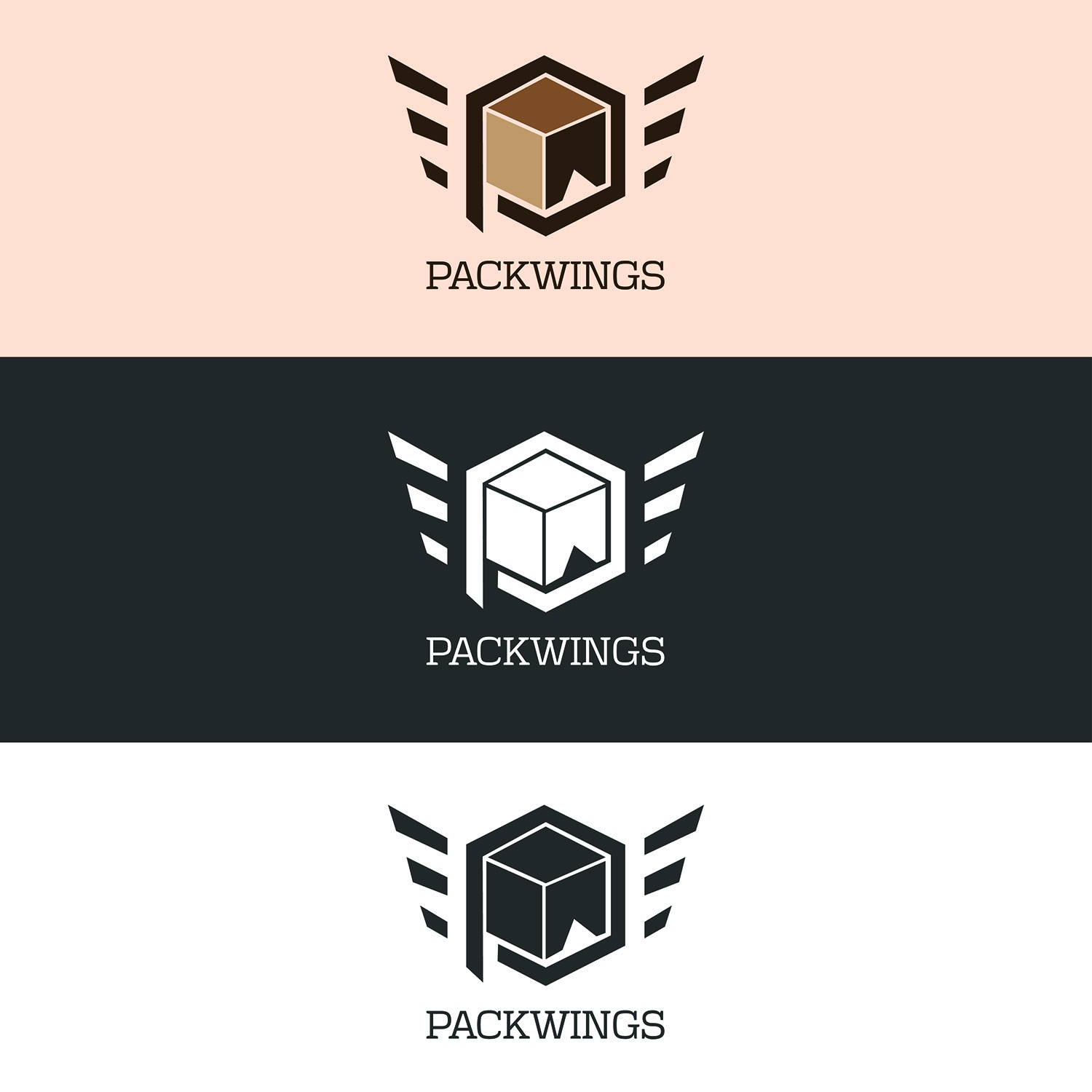 Diseño de Logo por gobindadey333 para Packwings | Diseño #12569992