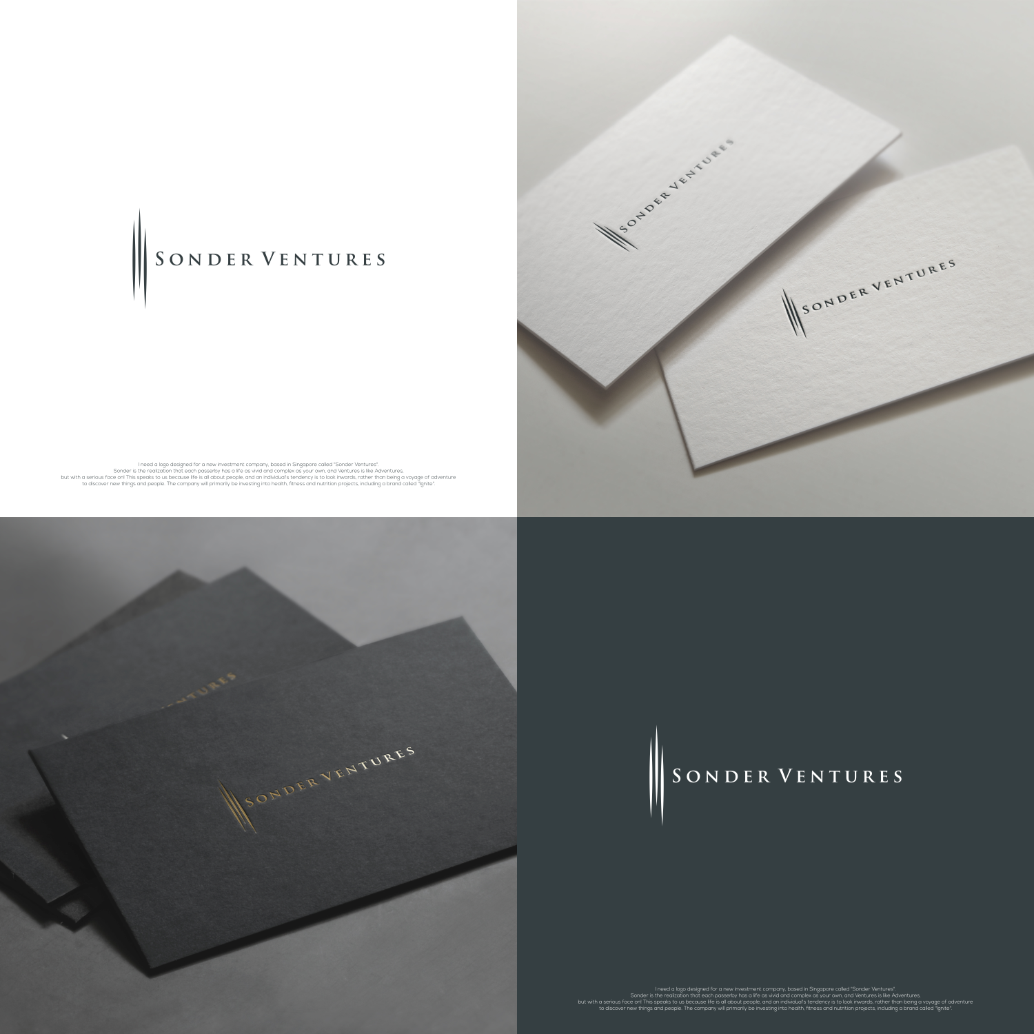 Design de Logo par jenggot_merah_ pour Sonder Ventures Pte Ltd | Design #12670795
