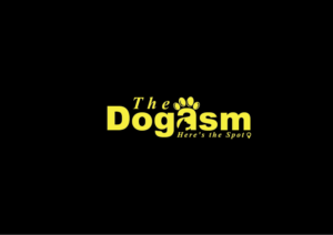 Logo Design by junaiddhukka