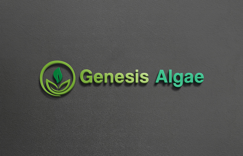 Design de Logo par Alif studio pour ce projet | Design : #12626298