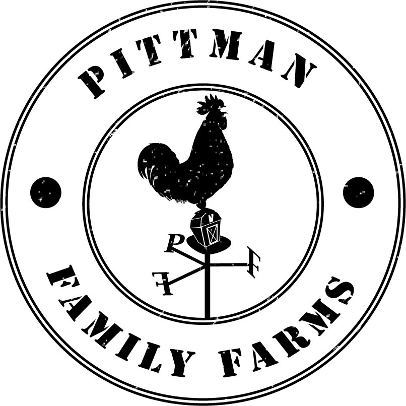 Logo Design by Mindqwerks for this project | Design #2458411