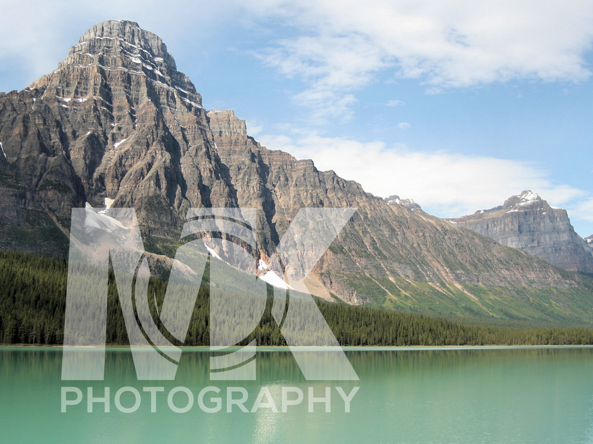 Photoshop Design by Pedrocca for this project | Design #2427970