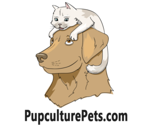 Logo Design by Ant_House