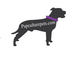Logo Design by Origin to Original