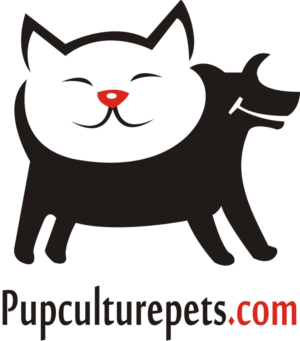 Logo Design by Hasyim Asngari