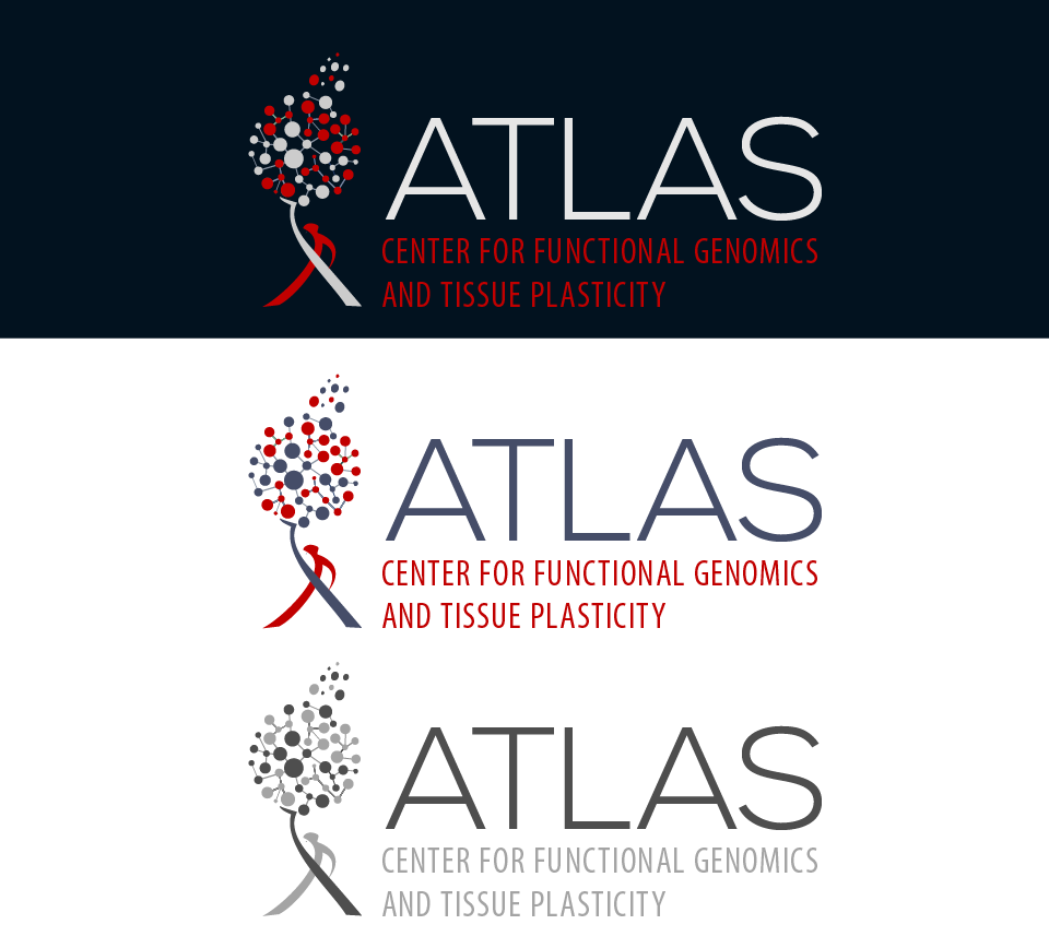 Design de Logo par sasha777 pour University of Southern Denmark | Design : #12706189