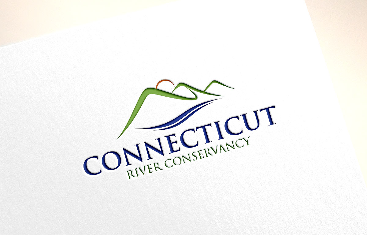 Logo Design by Turn Digital for Water Words That Work LLC | Design #12601187