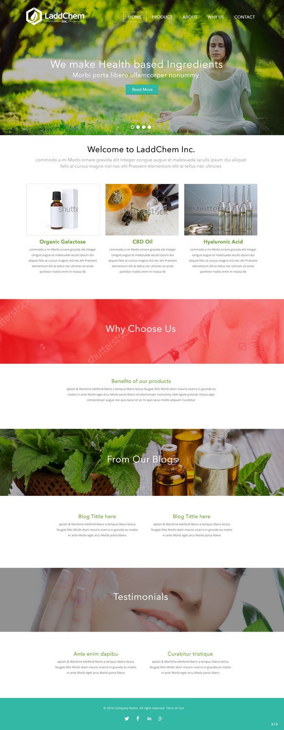 Squarespace Design by pb for LaddChem, Inc. | Design #12602923