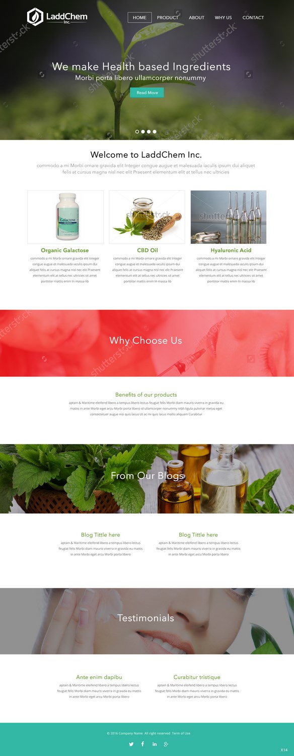 Squarespace Design by pb for LaddChem, Inc. | Design #12655918