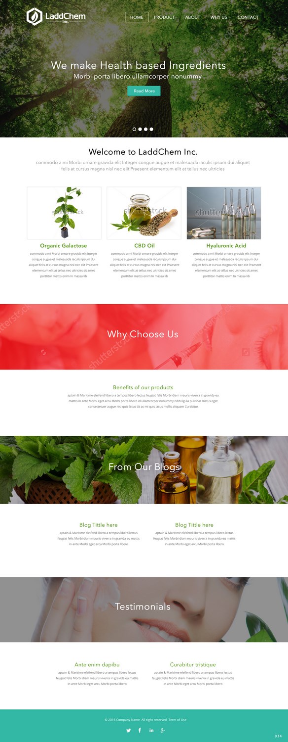 Design Squarespace par pb pour LaddChem, Inc. | Design #12655920