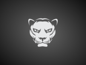 Logo Design by AisRafa.com