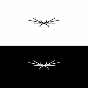 Logo Design by valkadin for this project | Design: #12622607