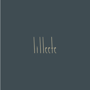 Logo Design by WP DESIGNS