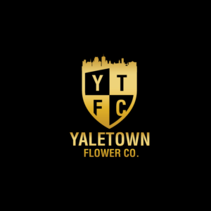 Logo Design by moasis