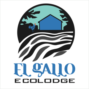 Logo Design by Bins for this project | Design: #12622982