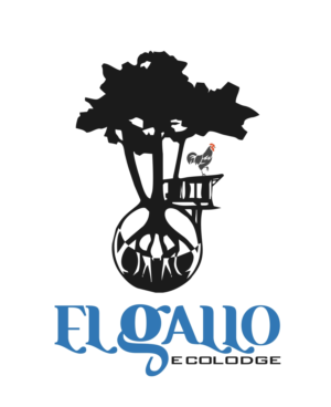 Logo Design by Bins for this project | Design: #12623039