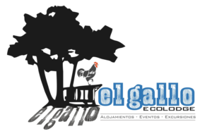 Logo Design by Bins for this project | Design: #12646645