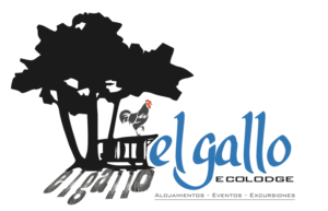 Logo Design by Bins for this project | Design: #12646646