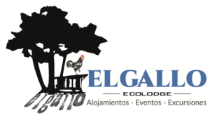 Logo Design by Bins for this project | Design: #12646647