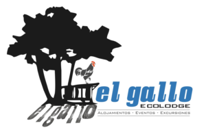 Logo Design by Bins for this project | Design: #12646652