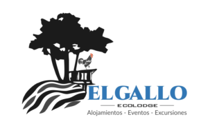 Logo Design by Bins for this project | Design: #12646729