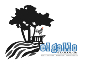 Logo Design by Bins for this project | Design: #12646731