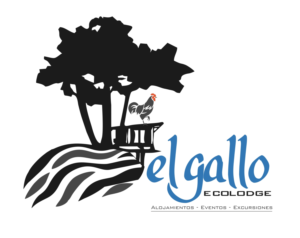 Logo Design by Bins for this project | Design: #12646733