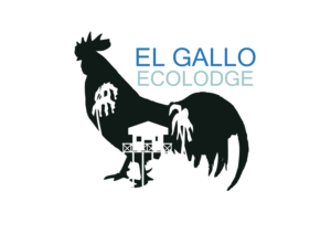 Logo Design by nanocb72 for this project | Design: #12624095