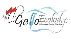 Design de Logo par nikolapacariz pour ce projet | Design #12643713