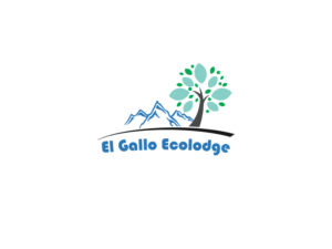 Logo Design by mounim1024