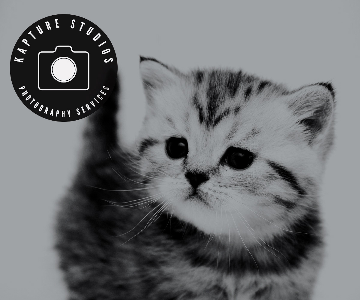 Logo Design by MariannaY for this project | Design #2433022