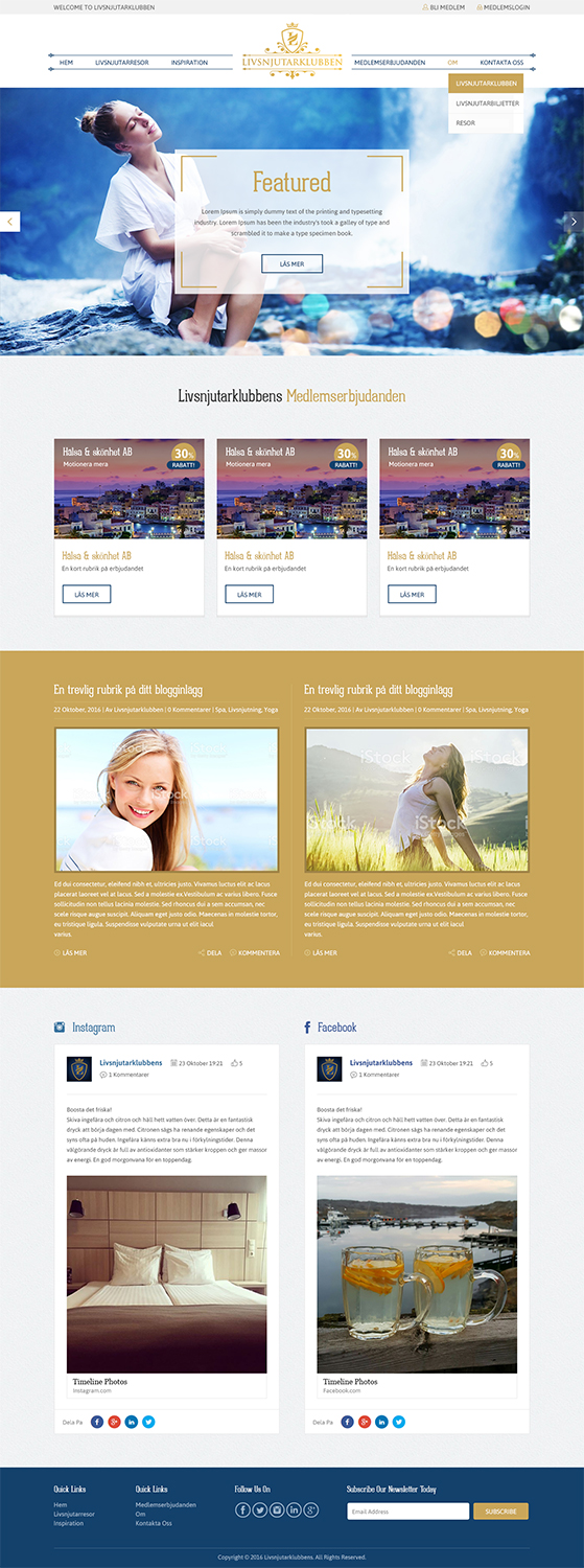 Web Design by RupalTechno for Ventureplant AB | Design #12717181